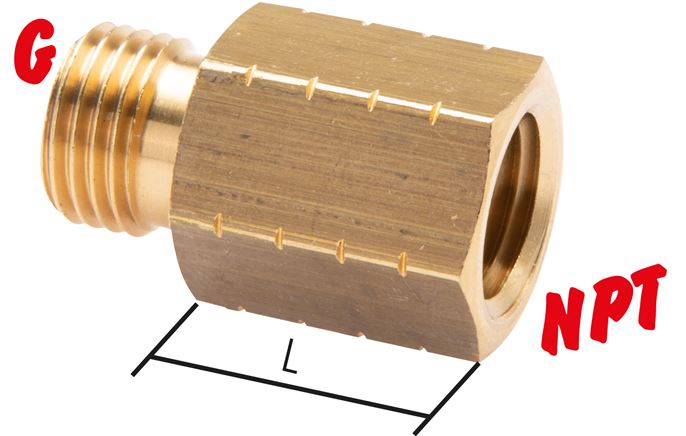 Exemplaire exposé: Embout de réduction avec filetage G/ filetage NPT, Laiton