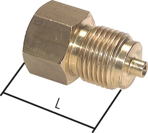 Exemplaire exposé: Réduction de manomètre avec hexagone, laiton